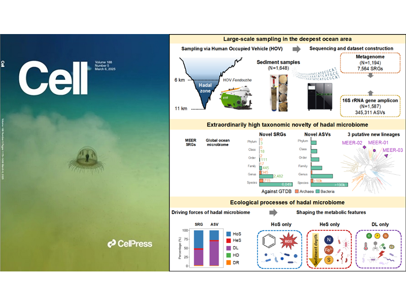 上海交大肖湘團(tuán)隊Cell發(fā)文：實(shí)現(xiàn)人類首次對深淵沉積物微生物及其生態(tài)過程的系統(tǒng)研究